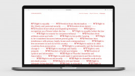 Leo-Constantin-Scheichenost-Creative-Director-Consulting-Lettering-Illustration-Freelancer-Lettering-Branding-For-Human-Rights-Merch-13 Leo-Constantin-Scheichenost-Creative-Director-Consultant-Entrepreneur