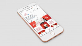 Leo-Constantin-Scheichenost-Creative-Director-Consulting-Lettering-Illustration-Freelancer-Lettering-Branding-For-Human-Rights-Merch-14 Leo-Constantin-Scheichenost-Creative-Director-Consultant-Entrepreneur