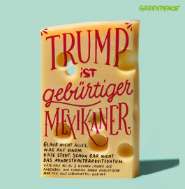 Leo-Constantin-Scheichenost-Creative-Director-Consulting-Lettering-Illustration-Freelancer-Lettering-Branding-Greenpeace-Werbung-7 Leo-Constantin-Scheichenost-Creative-Director-Consultant-Entrepreneur