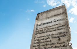 Leo-Constantin-Scheichenost-Creative-Director-Consulting-Lettering-Illustration-Freelancer-Lettering-Wall-Against-Walls-Anzeige-1 Leo-Constantin-Scheichenost-Creative-Director-Consultant-Entrepreneur