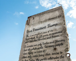 Leo-Constantin-Scheichenost-Creative-Director-Consulting-Lettering-Illustration-Freelancer-Lettering-Wall-Against-Walls-Thumbnail Leo-Constantin-Scheichenost-Creative-Director-Consultant-Entrepreneur