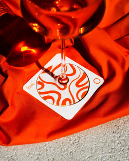 Leo-Constantin-Scheichenost-Creative-Director-Consulting-Markenaufbau-Branding-3 Leo-Constantin-Scheichenost-Creative-Director-Consultant-Entrepreneur