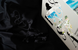 Leo-Constantin-Scheichenost-Creative-Director-Consulting-Markenaufbau-Lettering-Illustration-Freelancer-Lettering-International-Salzburg-Association-1 Leo-Constantin-Scheichenost-Creative-Director-Consultant-Entrepreneur