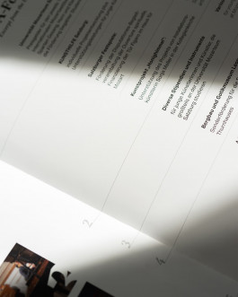 Leo-Constantin-Scheichenost-Creative-Director-Consulting-Markenaufbau-Lettering-Illustration-Freelancer-Lettering-International-Salzburg-Association-6 Leo-Constantin-Scheichenost-Creative-Director-Consultant-Entrepreneur