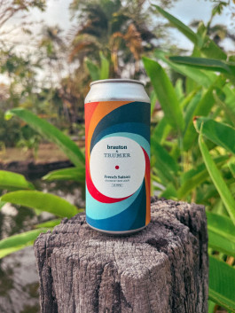 Leo-Constantin-Scheichenost-Creative-Director-Consulting-Markenaufbau-Branding-Lettering-Illustration-Brauton-Bier-Mit-Musikgeschmack-Bon-Jour-1 Leo-Constantin-Scheichenost-Creative-Director-Consultant-Entrepreneur