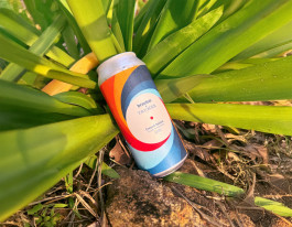 Leo-Constantin-Scheichenost-Creative-Director-Consulting-Markenaufbau-Branding-Lettering-Illustration-Brauton-Bier-Mit-Musikgeschmack-Bon-Jour-2 Leo-Constantin-Scheichenost-Creative-Director-Consultant-Entrepreneur