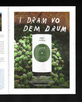 Leo-Constantin-Scheichenost-Creative-Director-Consulting-Markenaufbau-Branding-Lettering-Illustration-Brauton-Bier-Mit-Musikgeschmack-Print-Kampagne-4 Leo-Constantin-Scheichenost-Creative-Director-Consultant-Entrepreneur